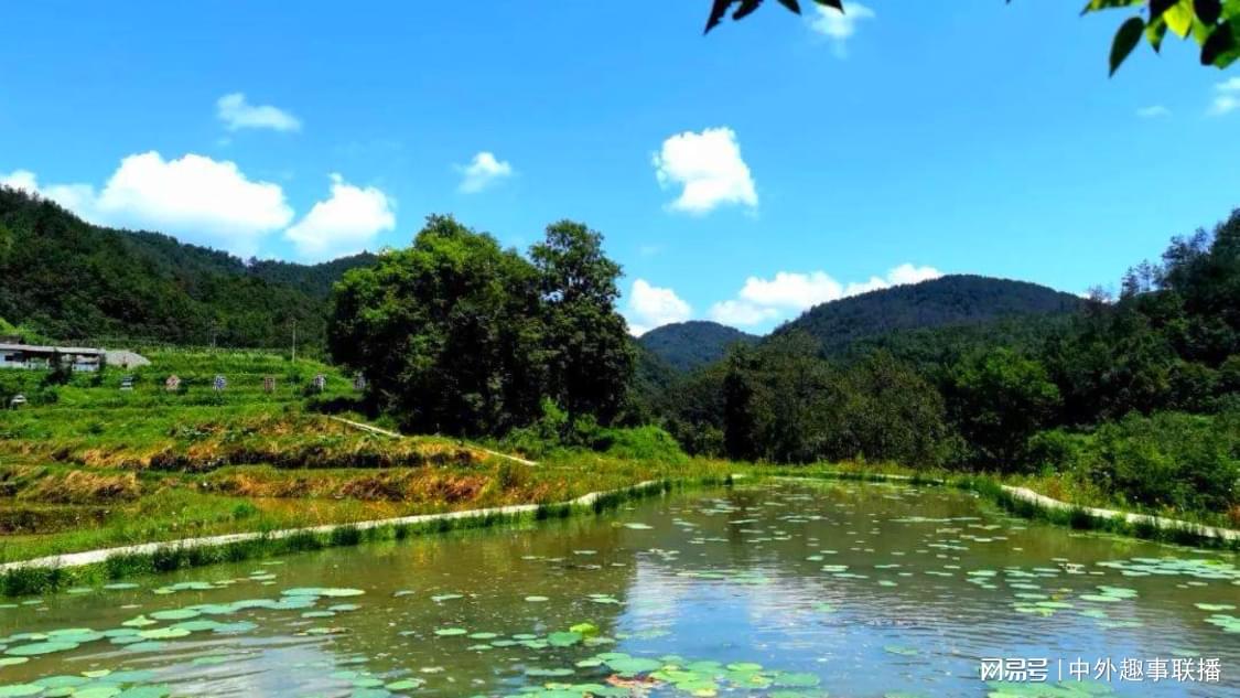 网易云评论点赞业务