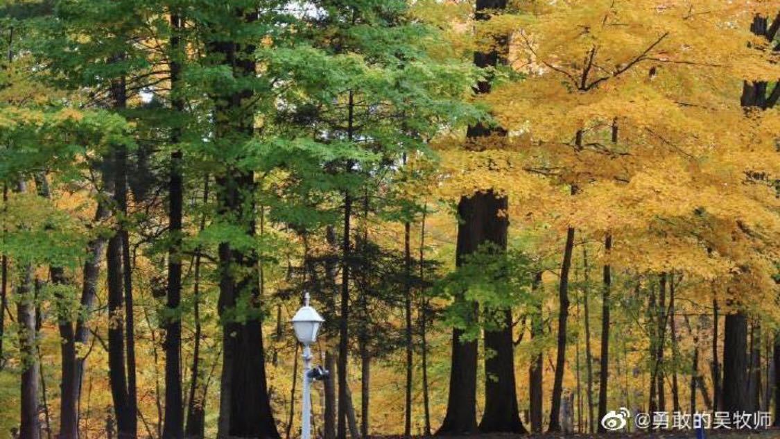 dy业务卡盟网站